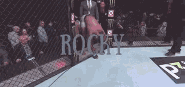Leon Edwards Rocky GIF