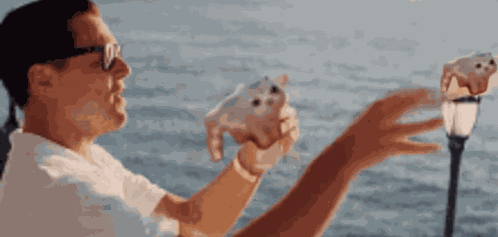 Leonardo Dicaprio Low Quality Cat GIF