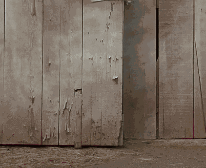 Leprechaun Movie GIF