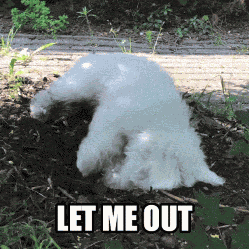 Let Me Out Trapped GIF