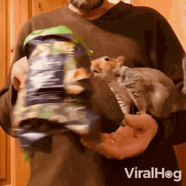 Let Me Take This Viralhog GIF