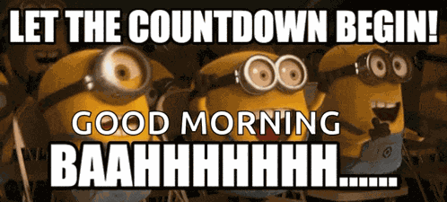 Let The Countdown Begin Baahhhhhhh GIF