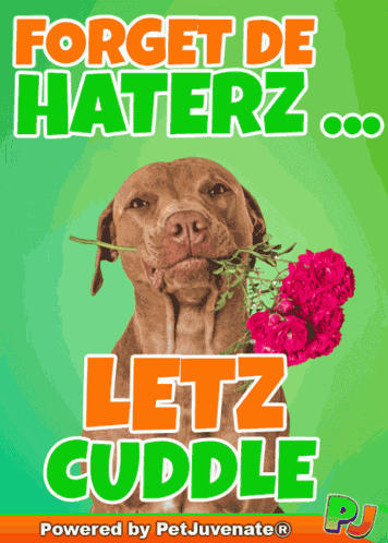 Lets Cu Forget The Haters GIF