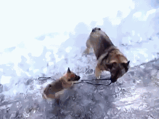 Let'S Take A Walk GIF