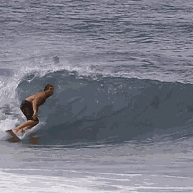 Levando Com A Prancha De Surf Na Cara Flamboiar GIF