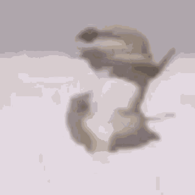 Lezard Dance Super Speed GIF