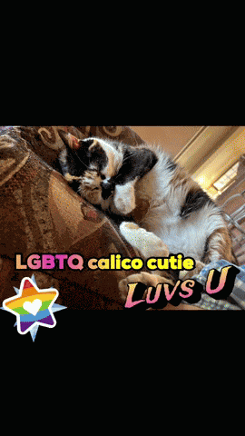 Lgbtq Families Lgbtq Funny GIF