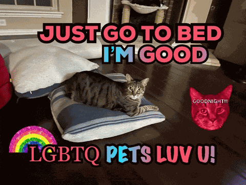 Lgbtq Pets Pet Kitty Cat Luvs U Funny Cats GIF