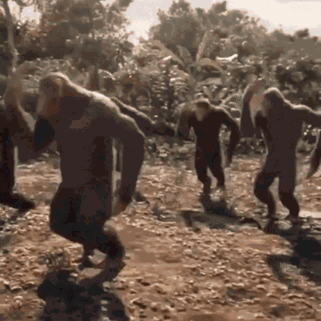 Liban Jareer Monkey Monkey Dance GIF