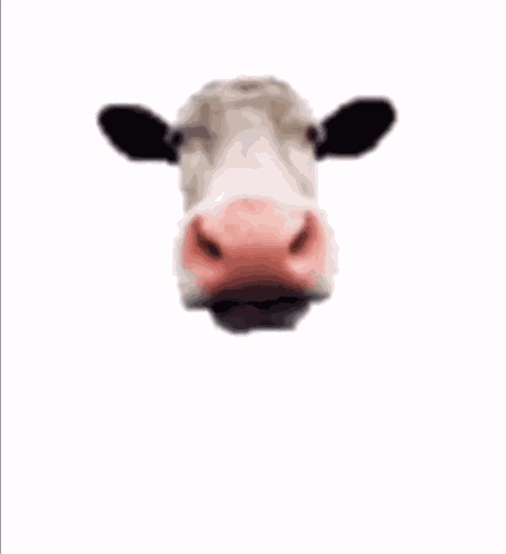Lick Kiss GIF