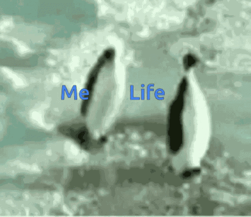 Life GIF