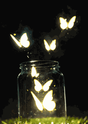 Light GIF