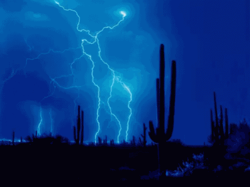 Lightning Night GIF