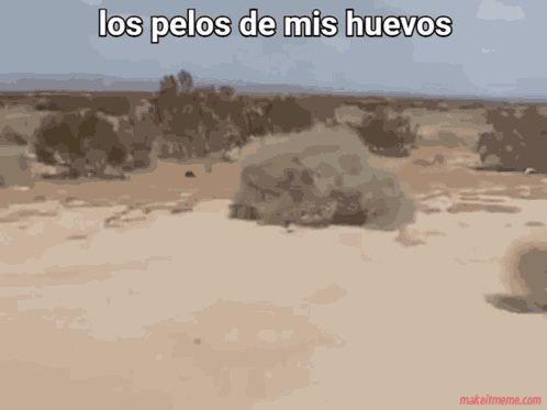 Ligoleyennashe GIF