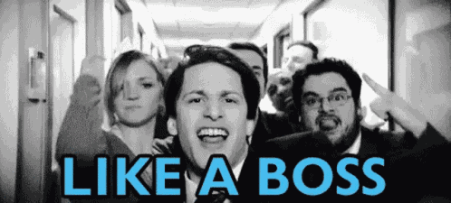 Like A Boss Told You GIF