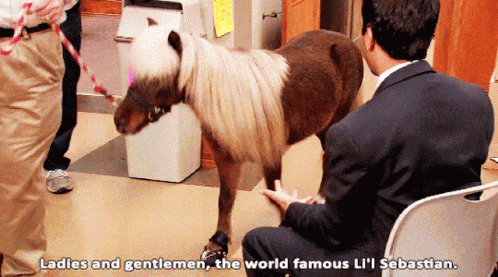 Lil Sebastian GIF