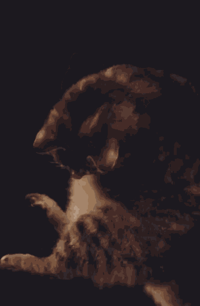 Lily Woof GIF
