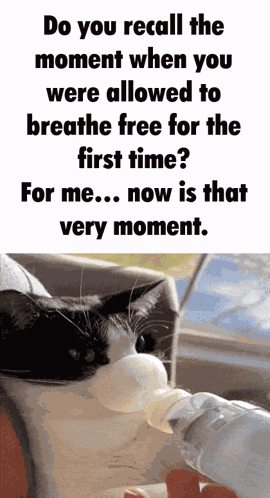 Limbus Limbus Ego GIF