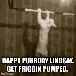 Lindsaypurrday GIF