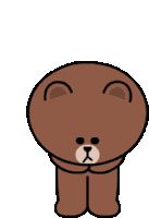 Line Friends Brown Bear Sticker