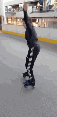 Linus Kaninus GIF