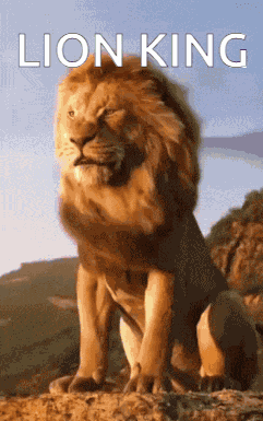 Lion King GIF