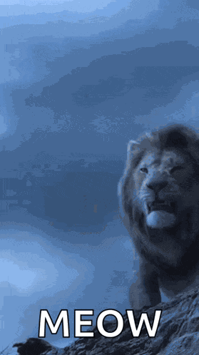 Lion Roaring GIF