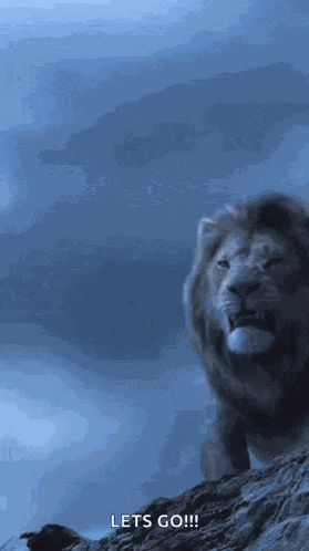 Lion Roaring GIF