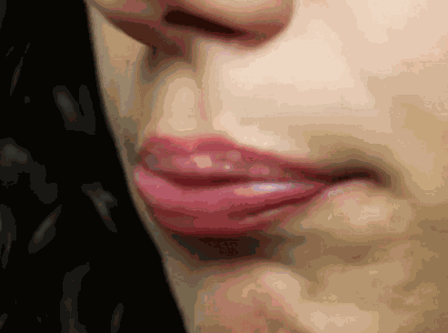 Lip Trill Horse Lips GIF