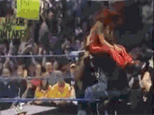 Lita Dudley Wrestler GIF
