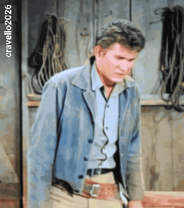 Little Joe Cartwright Michael Landon GIF