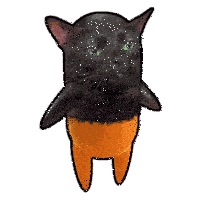 Little Pills Sticker