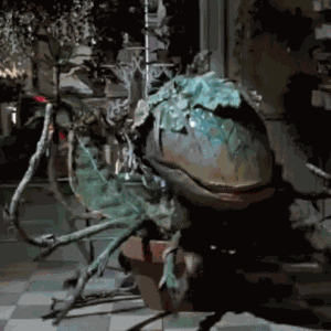 Little Shop Of Horrors Audrey Ii GIF