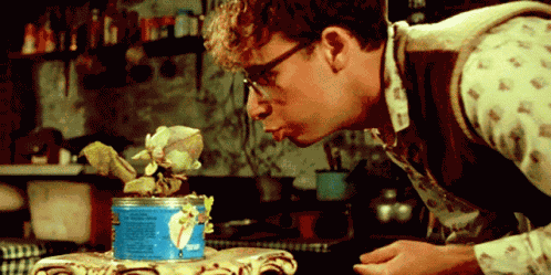 Little Shop GIF