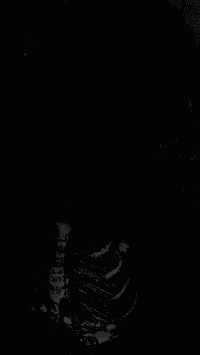 Littlebigtd Lbtd GIF