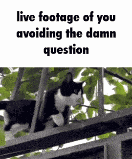 Live Footage Of You GIF