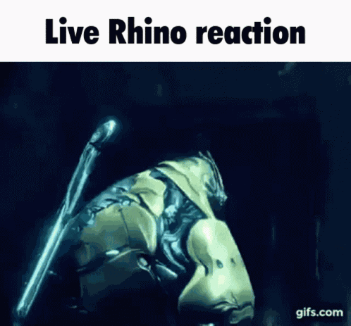 Live Reaction Rhino GIF