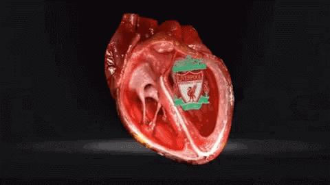 Liverpool Heartbeat GIF