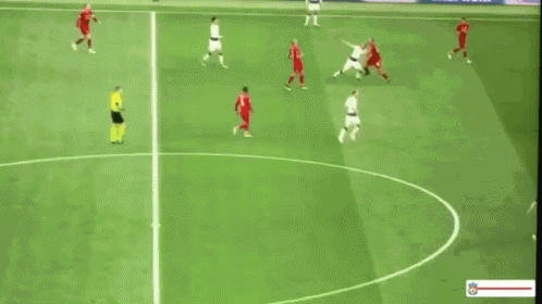 Liverpool Streaker GIF