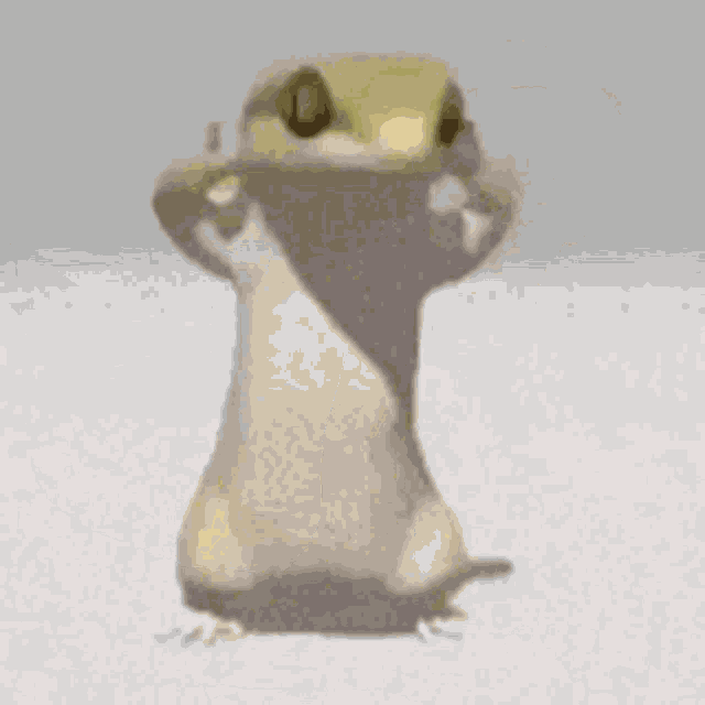 Lizard Dancing Lizard GIF