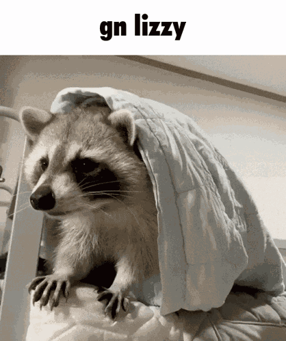 Lizz Lizzy GIF