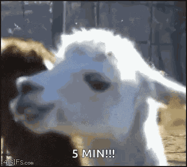 Llama Mirada GIF