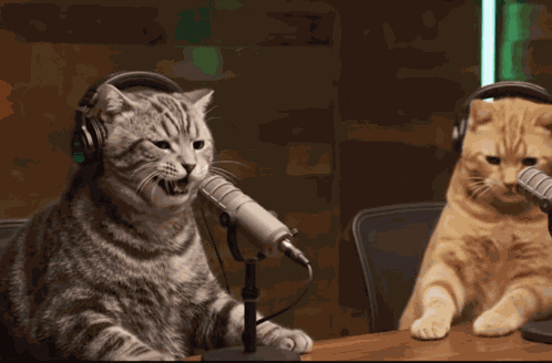Lmao Lmao Meme GIF