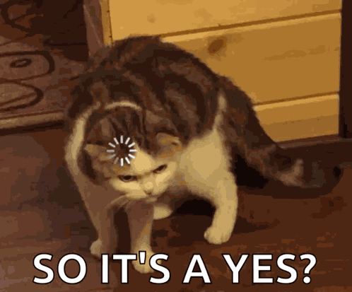 Loading Cat GIF