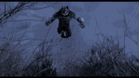 Lobisomem Atacacando GIF