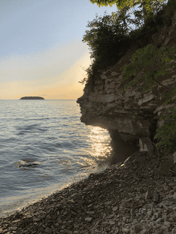 Loch Ness Monster Bigfoot GIF
