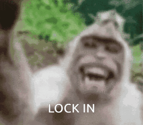 Lock In Monkey GIF