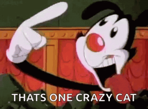 Loco Crazy GIF