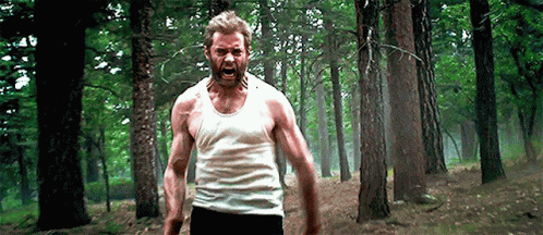 Logan Wolverine GIF