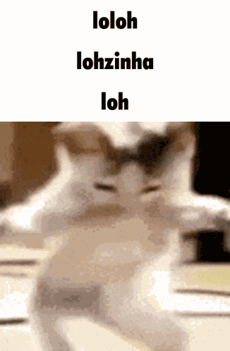 Loh Lohzinha GIF